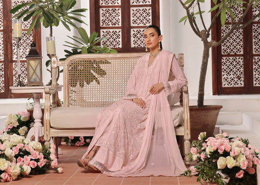 Dil Ruba Pret Festive Collection